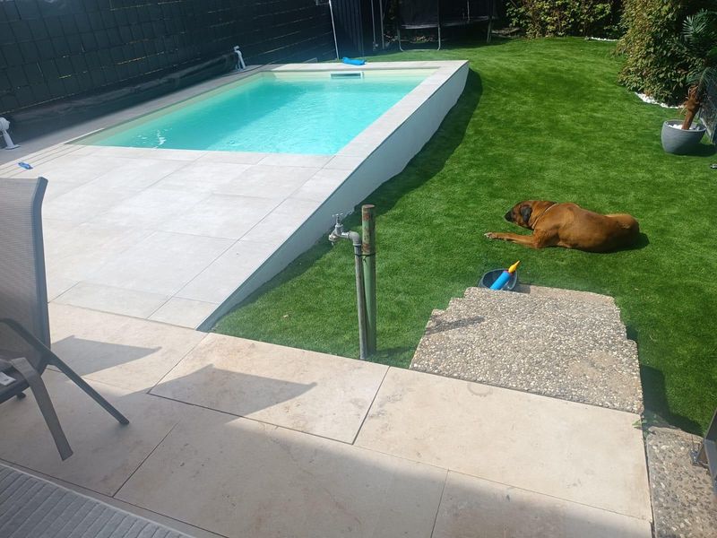 Pool mit Plattenterrasse, Rasenböschung und Stufen